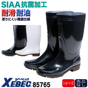 W[xbN R qC cȂ V[g ƌC Y fB[X ɂ SIAA ϊ ϖ Ɩp ~[V[Y HiH YH qǗ wZH HX  zCg  u