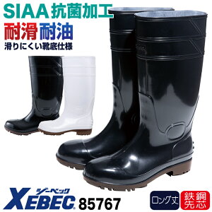 W[xbN R qC |c ƌC Z[teBV[Y Y fB[X ɂ SIAA ϊ ϖ Ɩp ~[ HiH YH qǗ wZH HX  zCg  u