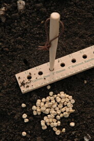 ★アウトレット在庫処分★20％OFF【英国Burgon & Ball社】種と苗の植付用定規　Seed and Plant Spacing Rule