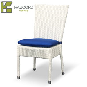 yK.RAUCORDzPARMA SIDE CHAIRip}TCh`FAjipNbVʔj