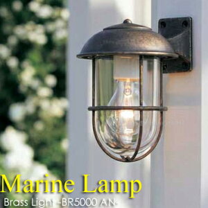 yuXCgz}vEBR5000ANCL AeB[NiNAKX^Cvj