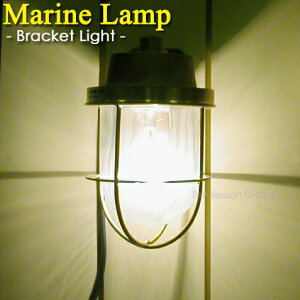 yMarine Lampz}vE1uPbgCgidʔj