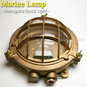 yMarine Lampz}vE}K^fbLCgidʔj