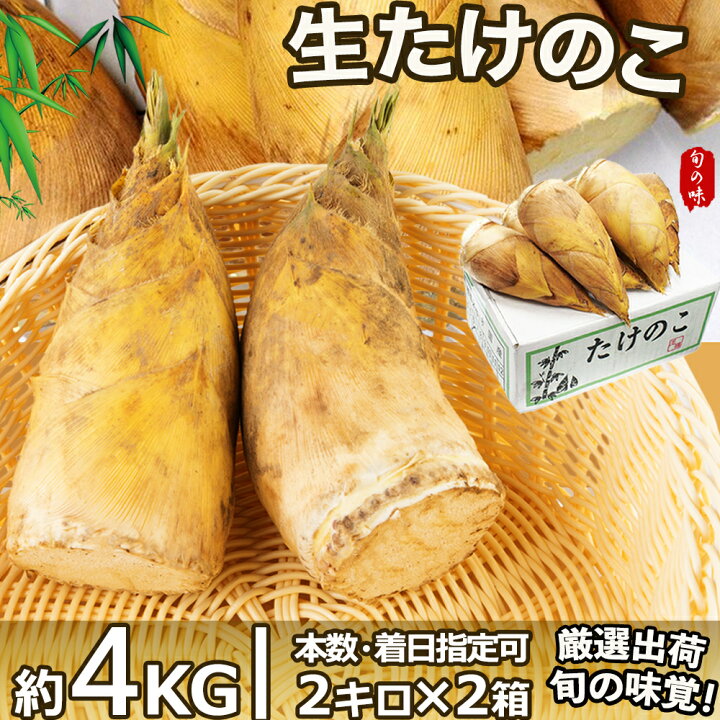 楽天市場】＜日付指定可＞生たけのこ 筍 フレッシュタケノコ 中国産 新 