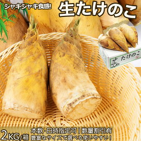 生たけのこ 約2kg 箱入｜中国産 生筍 フレッシュタケノコ｜サイズ選べる・根元カット済｜シャキシャキ食感の孟宗竹｜冬春季限定｜煮物・筍ご飯・サラダ・炒め物など幅広い料理に最適｜生孟宗筍 冬笋 竹笋｜家庭用・業務用・まとめ買いお得｜安心の国内加工出荷