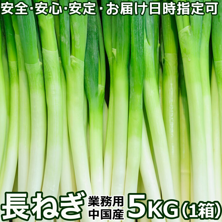 楽天市場】長ねぎ 業務用 5kg（約40本入）Lサイズ｜日付指定＆定期購入  