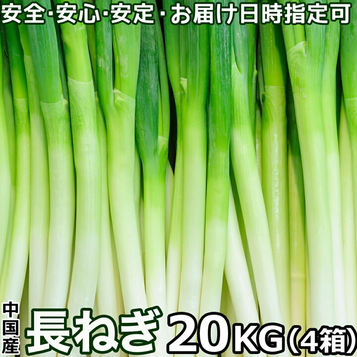 楽天市場】＜日付指定可＞長ねぎ ネギ 業務用 5kg/箱 40本前後入 L 
