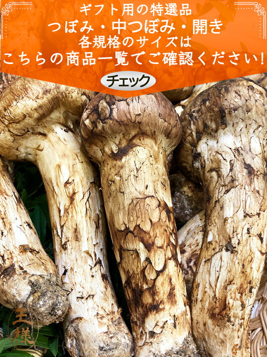 楽天市場】【ページ移行のお知らせ】 ※新ページは下の商品説明エリアで 