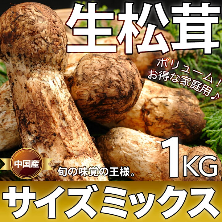 楽天市場】生松茸 サイズミックス 約1kg 【大中小・色々なサイズ 