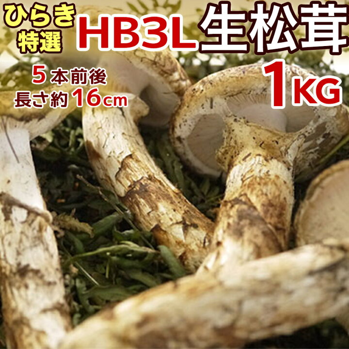 楽天市場】【ページ移行のお知らせ】 ※新ページは下の商品説明エリアで 
