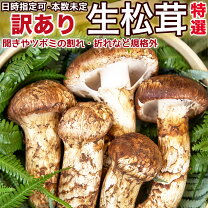 楽天市場】松茸 北海道の通販