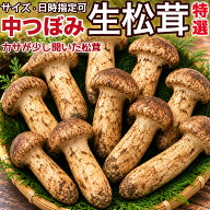 生松茸 ＜中つぼみ/半開き＞ 特選 500g 1kg 箱 中国雲南産 天然まつたけ｜空輸直送・厳しい選別・国内検…