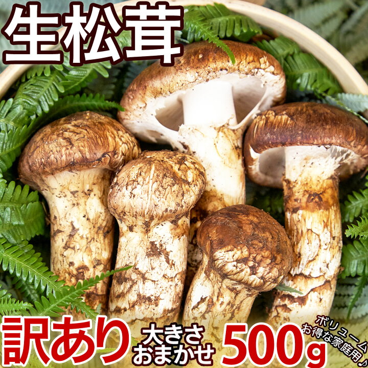 楽天市場】【ページ移行のお知らせ】 ※新ページは下の商品説明エリアで 