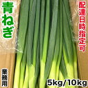 青ねぎ 業務用 5kg S/Mサイズ｜日付指定＆定期購入可｜中国産 青ネギ｜太くて長さが均一で扱いやすい青葱・業務用調理…