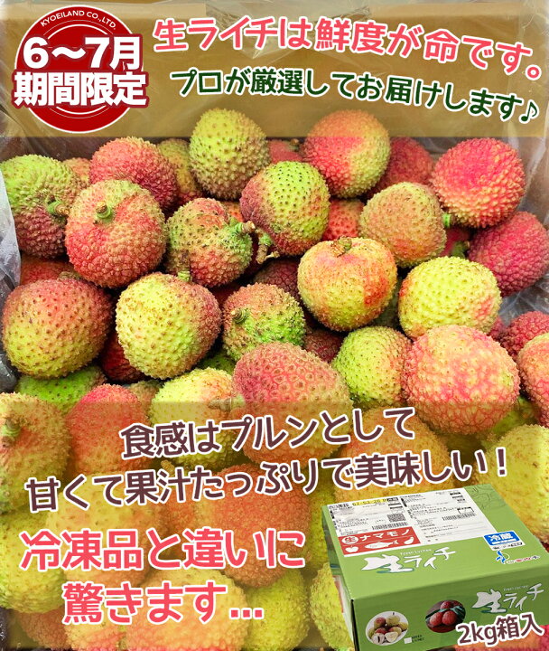 楽天市場 予約6月上旬 生グリーンライチ 約2kg 箱 妃子笑 ひししょう 中国産 当店厳選 新鮮フレッシュライチ 香りが強いみずみずしい レイシ 茘枝 生ライチ Litchi トロピカルフルーツ 果物 お中元 贈答用 ギフト ご家庭用 夏期間限定 手作業検品 早割ポイント