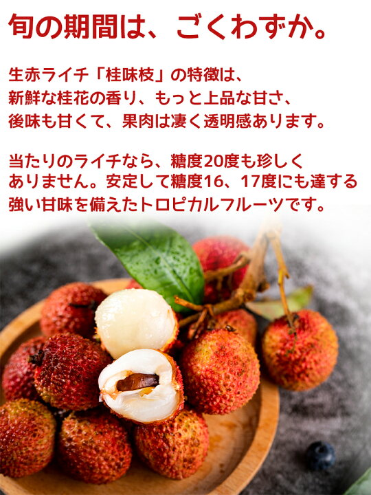 楽天市場】【予約6月下旬】生赤ライチ 約4kg 箱 桂味枝(グワメイ)中国産 当店厳選 新鮮フレッシュライチ 甘さたっぷりみずみずしい 新鮮紅フレッシュ ライチ グワメイレイシ 桂味茘枝 フルーツ 果物 お中元 父の日 贈答用ギフト ご家庭用【夏期間限定・手作業検品】<早 ... 楽天市場】【予約6月下旬】生赤ライチ 約4kg 箱 桂味枝(グワメイ)中国産 当店厳選 新鮮フレッシュライチ 甘さたっぷりみずみずしい 新鮮紅フレッシュ ライチ グワメイレイシ 桂味茘枝 フルーツ 果物 お中元 父の日 贈答用ギフト ご家庭用【夏期間限定・手作業検品】<早 ...