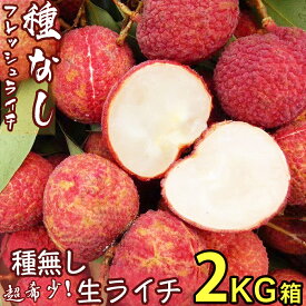 ＜予約7月中下旬＞種無し 生ライチ｜食べ応え満点の希少な高級品種・中国産｜可食部たっぷり！清涼感あふれる甘さの逸品｜たねなしフレッシュライチ｜レイシ・無核茘枝・Seedless Lychee｜四季の広場 厳選トロピカルフルーツ｜家庭用・贈答用・夏ギフト｜夏季限定・国内検品