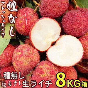 ���\��7�������{���햳�� �����C�`�b�H�׉������_�̊󏭂ȍ����i��E�����Y�b�H�������Ղ�I���������ӂ��Â��̈�i�b���˂Ȃ��t���b�V�����C�`�b���C�V�E���j䫎}�ESeedless Lychee�b
