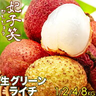 ＜予約6月上旬＞ 生グリーンライチ 妃子笑（ひししょう）中国産 高鮮度フレッシュライチ｜鮮度重視で上品…
