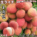 生赤ライチ 玉荷包（ぎょっかほう）濃厚な甘さとほのかな酸味のバランスが絶妙｜中国産｜果肉は乳白色で透き通ってぷ…