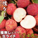 種無し 生ライチ｜食べ応え満点の希少な高級品種・中国産｜可食部たっぷり！清涼感あふれる甘さの逸品｜たねなしフレ…