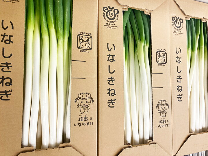 楽天市場】国産長ねぎ 5キロ箱 埼玉/茨城/群馬/千葉県他産 M～2L 