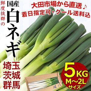 白ネギ ねぎの人気商品 通販 価格比較 価格 Com