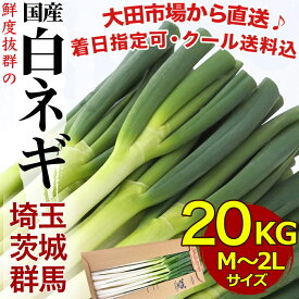 楽天市場 長ネギ 総重量 野菜 10 0 10 9kg 野菜 きのこ 食品 の通販
