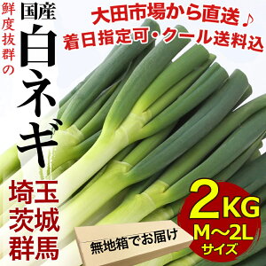 白ネギ ねぎの人気商品 通販 価格比較 価格 Com 白ネギ ねぎの人気商品 通販 価格比較 価格 Com