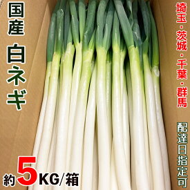 国産長ねぎ 5キロ/箱 埼玉/茨城/群馬/千葉県他産 M～2Lサイズ 1個口3箱まで 使いやすいサイズ 白ネギ 新鮮で太い 長ネギ 関東地区産地 飲食店業務用長葱 まとめ買いがお得 業務用食材 日本産 卸売定期購入対応 安心供給 安定品質 安価提供 クール便送料込＜安心の検品発送＞