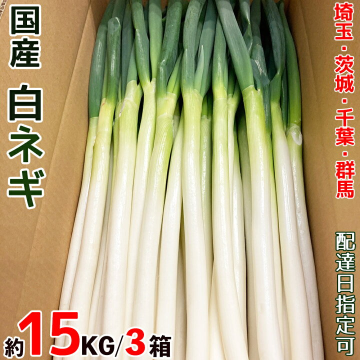 楽天市場】国産長ねぎ 5キロ箱 埼玉/茨城/群馬/千葉県他産 M～2L 