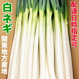 国産長ねぎ 5キロ/箱 埼玉/茨城/群馬/千葉県他産 M～2Lサイズ 1個口3箱まで 使いやすいサイズ 白ネギ 新鮮で太い 長ネギ 関東地区産地 飲食店業務用長葱 まとめ買いがお得 業務用食材 日本産 卸売定期購入対応 安心供給 安定品質 安価提供 クール便送料込＜安心の検品発送＞