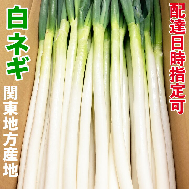 楽天市場】国産長ねぎ 5キロ箱 埼玉/茨城/群馬/千葉県他産 M～2Lサイズ 