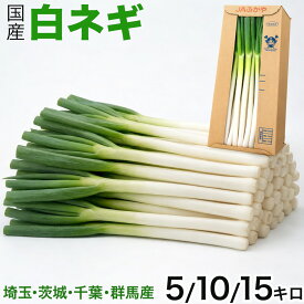 国産長ねぎ 5kg 箱 M〜2Lサイズ｜埼玉・茨城・千葉・群馬県産地｜白ネギ｜太くて長さが均一で扱いやすい長葱・業務用調理に最適｜鮮度優先の一貫管理体制｜安心・安全・安定供給｜飲食店様応援価格｜四季の広場厳選食材・まとめ買いにおすすめ｜国内検品・冷蔵便発送