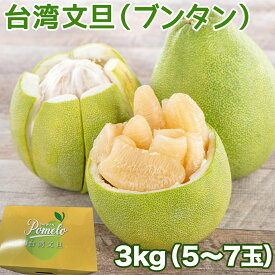 ＜予約9月下旬以降＞台湾文旦 約3kg 5～8玉入｜台湾台南麻豆産 特選 ポメロ｜日本向け 台灣文旦柚 化粧箱入｜中秋節の定番 ゆず 柚子 Taiwan Pomelo｜厳選南国フルーツ｜トロピカルフルーツ｜家庭用 贈答用 中秋節 果物ギフト｜期間限定 ＜安心の国内発送＞