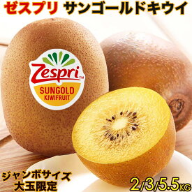 ＜ゼスプリ＞サンゴールドキウイ｜ニュージーランド産｜鮮度優先・トロピカルで濃厚な甘みがしっかり｜毎日食べるといい果物・ビタミンC豊富で栄養満点｜四季の広場厳選｜Zespri Kiwi SunGold 金奇異果｜家庭用 贈答用 父の日 お中元 夏ギフト｜国内検品