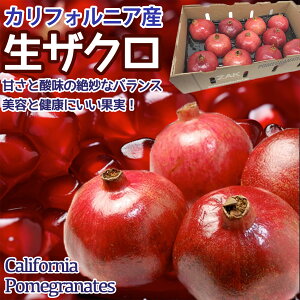 \11{UN AJYb  tbVUNbN₩ȐԐFŉʏ`Lx Ö₩Ȏ_y߂bVN ў Ξ PomegranatesblG̍LꌵI ʕ