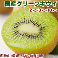 国産キウイフルーツ 大玉限定 2kg/3kg/10kg 愛媛・和歌山・熊本・神奈川産 ｜農薬・化学肥料不使用｜鮮や…