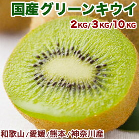 国産キウイフルーツ 大玉限定 2kg/3kg/10kg 愛媛・和歌山・熊本・神奈川産 ｜農薬・化学肥料不使用｜鮮やかな緑果肉と爽やかな甘みの甘熟グリーンキウイ｜爽やかな甘みとジューシーな果汁｜1個で1日分のビタミンC｜四季の広場厳選｜家庭用・贈答用｜検品発送