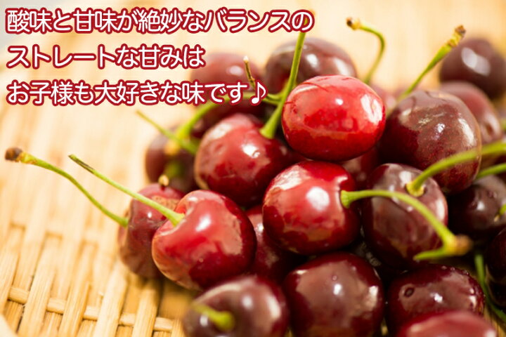 アメリカンチェリー 約8kg 原体箱 大玉さくらんぼ 9 5 10r 大粒 櫻桃 コーディア種 御中元 家庭用 ビング 秀品 濃い甘み味 夏ギフト 厳選輸入果物フルーツ 贈答用 Cherry 数量割引対象商品 食べ応え抜群 車厘子 空輸 アメリカンチェリー 約8kg 原体箱 大玉さくらんぼ 9 5 10r 大粒 櫻桃 コーディア種 御中元 家庭用 ビング 秀品 濃い甘み味 夏ギフト 厳選輸入果物フルーツ 贈答用 Cherry 数量割引対象商品 食べ応え抜群 車厘子 空輸