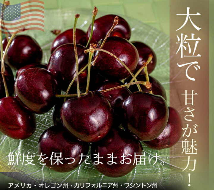 楽天市場】【スーパーSALE】アメリカンチェリー 超大粒 9.5row 空輸  