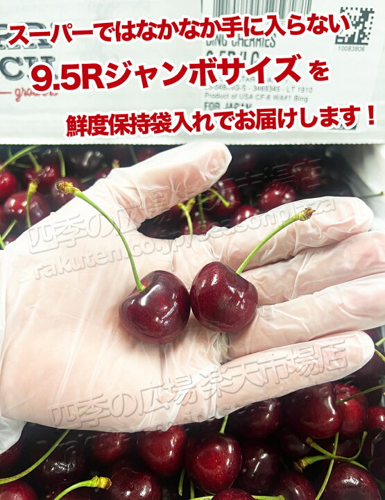 楽天市場】【スーパーSALE】アメリカンチェリー 超大粒 9.5row 空輸 