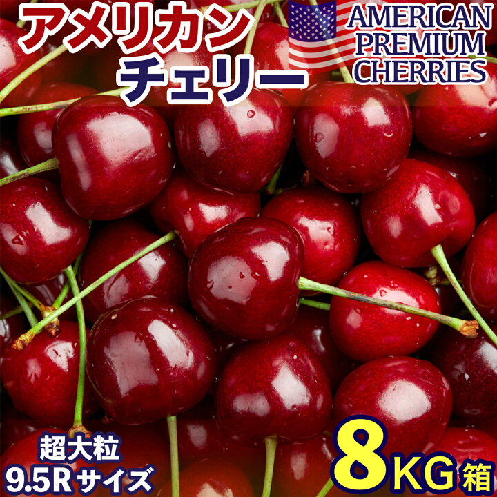 楽天市場】【ページ移行のお知らせ】 ※新ページは下の商品説明エリアで 