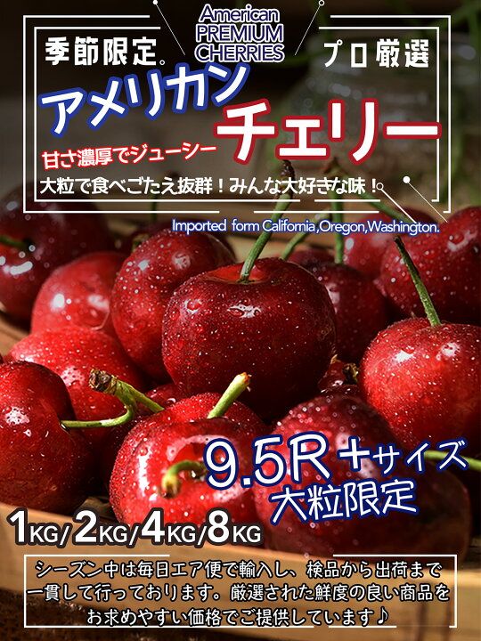 楽天市場】アメリカンチェリー 大粒 9.5Row以上 1kg 2kg 4kg 8kg｜空輸 