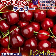 アメリカンチェリー 大粒 9.5Row以上 1kg 2kg 4kg 8kg｜空輸直送 ワシントン州産 厳選ダークチェリー｜高…