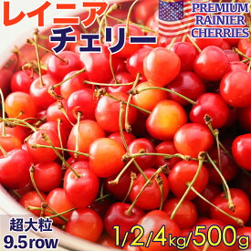 ＜予約6月下旬以降＞レイニアチェリー 大粒 9.5Row以上｜空輸直送・日本向け｜アメリカ西海岸産｜高糖度で濃厚な甘さとジューシーな果肉が特長の希少品種｜Premium Rainier Cherries レーニア 櫻桃 雷尼車厘子｜四季の広場厳選｜家庭用 贈答用 お中元 夏季限定｜国内検品