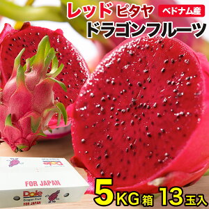 hSt[c ԓEb 1360gȏbxgiYEns^bbhzCgEh{Ղʓ&T_XC[cɂ҂b{ Dragon Fruit^Pitaya^ΗʁblG