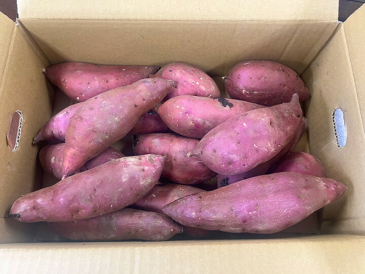 楽天市場】さつまいも 紅優甘 紅はるか 約5kg/10kg/2.5kg 茨城県産 