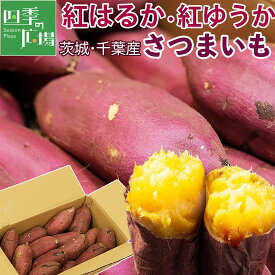 さつまいも 紅はるか・紅優甘 5kg/10kg/2.5kg｜茨城・千葉県産 熟成サツマイモ｜糖度が高く人気の国産品種｜しっとりなめらか食感と上品な甘さ｜正品サイズ選択可・お得な規格外訳あり品も｜焼き芋・スイーツ・料理用にも最適｜四季の広場厳選｜家庭用・業務用｜安心検品発送