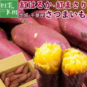 さつまいも 紅はるか・紅まさり 5kg 10kg｜茨城・千葉県産 熟成サツマイモ｜ねっとり食感の紅優甘など高糖度人気ブラ…